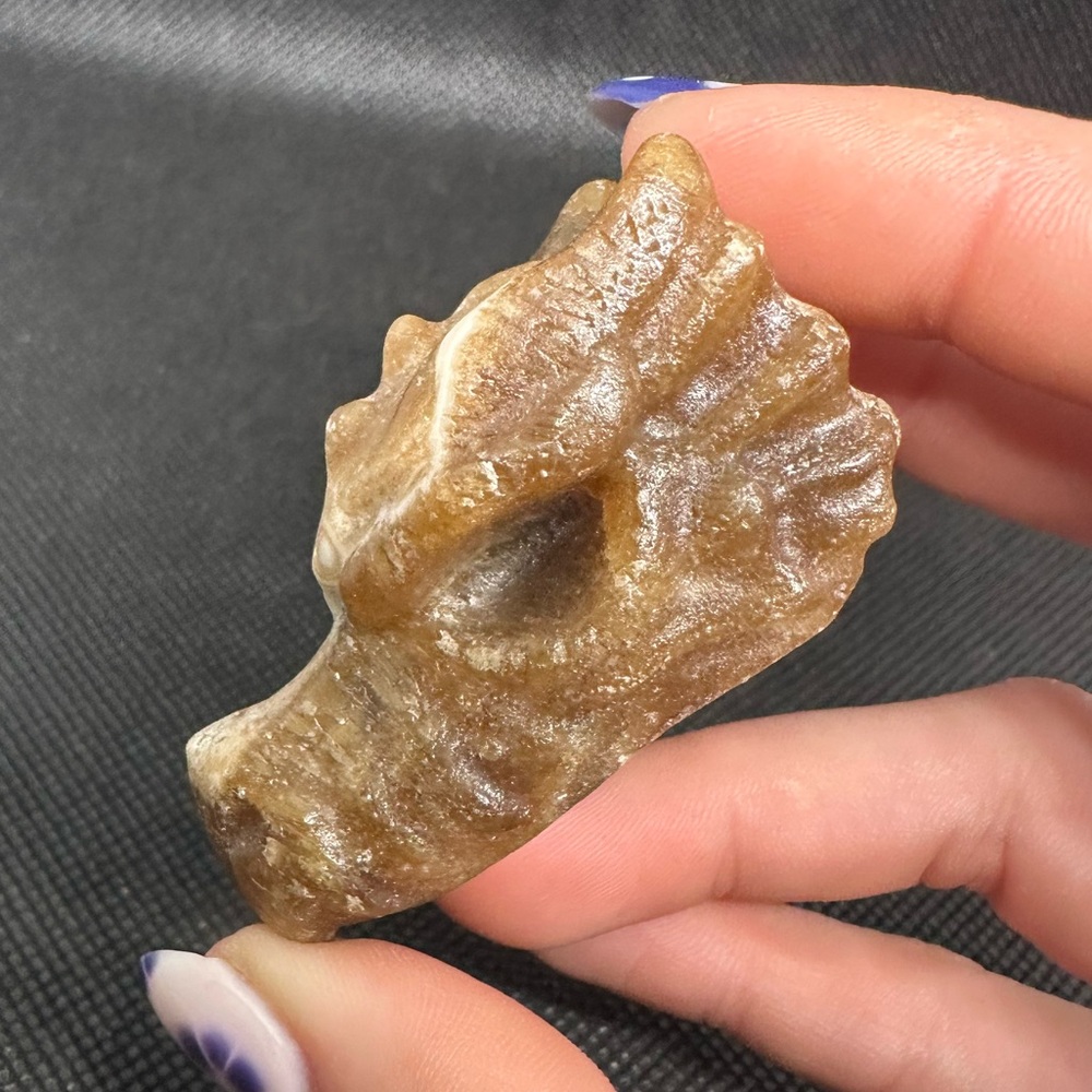 (1)Chocolate calcite dragon head